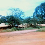 A31.  FDC Hootch - Admin. Area as seen from the AirstripE